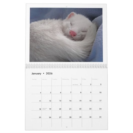Ferret Calendar 1st Edition Kalender (Jan 2026)