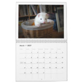 Ferret Calendar 1st Edition Kalender (Mar 2027)