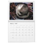 Ferret Calendar 1st Edition Kalender (Feb 2027)