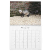 Ferret Calendar 2011 Kalender (Feb 2027)