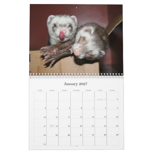 Ferret Calendar 2011 Kalender (Jan 2027)