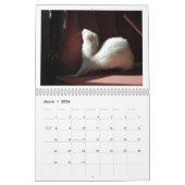 Ferret Calendar - 2e editie Kalender (Mar 2026)