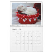 Ferret Calendar - 2e editie Kalender (Feb 2026)