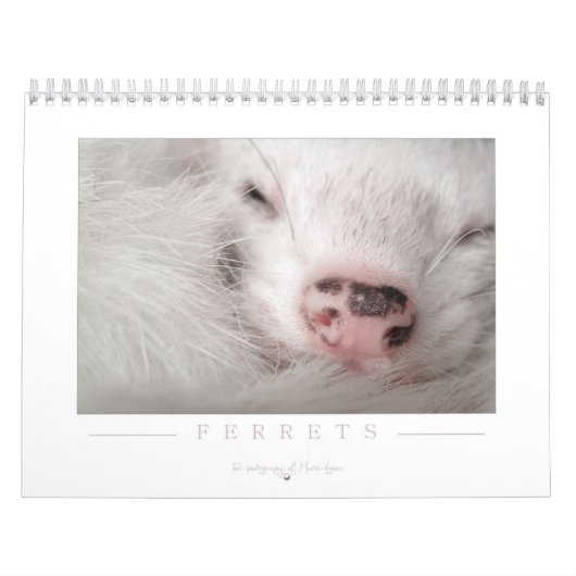 Ferret Calendar - 2e editie Kalender (Hoes)