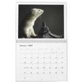 Ferret Calendar - 2e editie Kalender (Jan 2027)