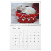 Ferret Calendar - 2e editie Kalender (Feb 2027)