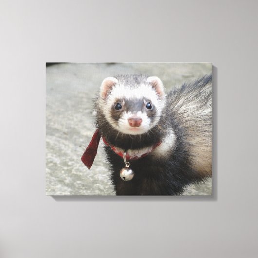 Ferret Canvas Afdruk (Voorkant)