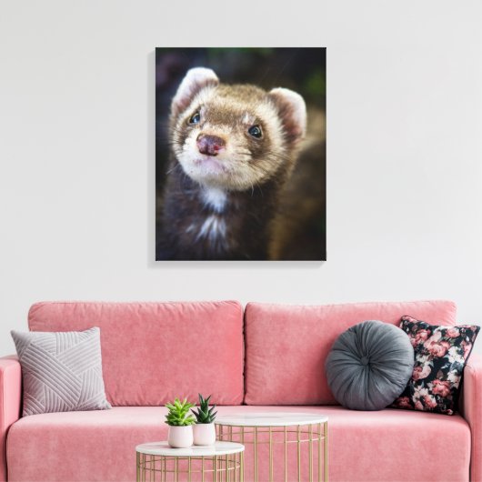 Ferret Canvas Afdruk (Insitu (Woonkamer))