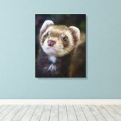 Ferret Canvas Afdruk (Insitu (Houten vloer))