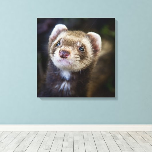 Ferret Canvas Afdruk (Insitu (Houten vloer))