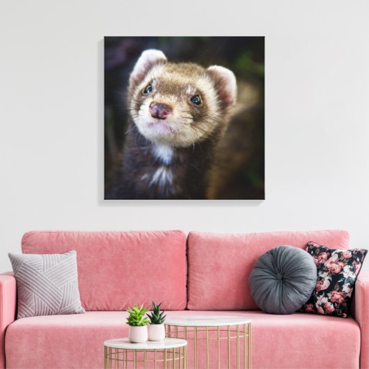 Ferret Canvas Afdruk (Insitu (Woonkamer))