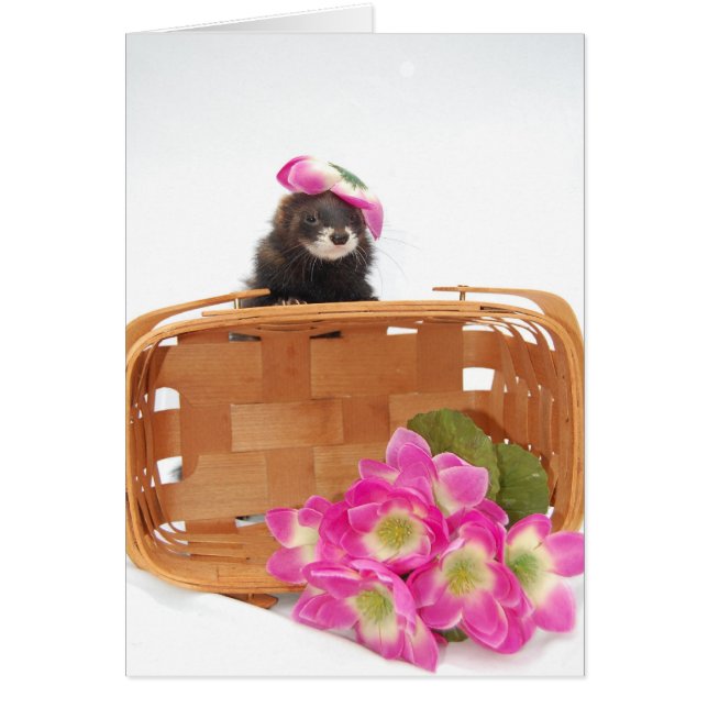 Ferret Card (Voorkant)