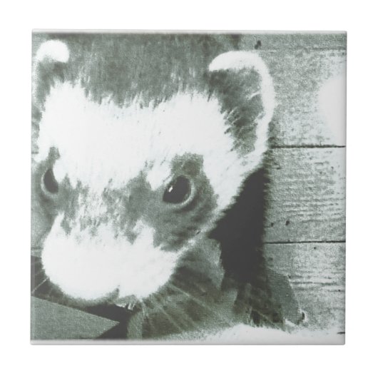 Ferret Cute Afbeelding Tegeltje (Voorkant)
