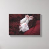 Ferret December - Uitgerekte Canvas Prints (Voorkant)