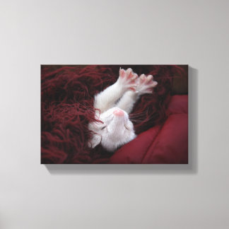 Ferret December - Uitgerekte Canvas Prints