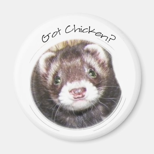 Ferret Face Afbeelding Magneet (Voorkant)