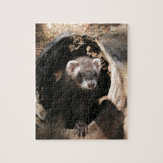 Ferret Face Legpuzzel (Verticaal)