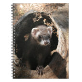 Ferret Face Notitieboek (Voorkant)