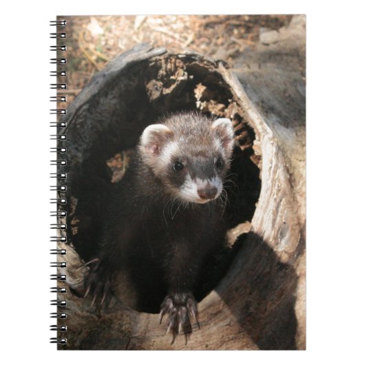 Ferret Face Notitieboek (Voorkant)