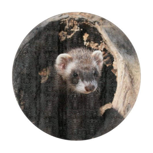 Ferret Face Snijplank (Voorkant)