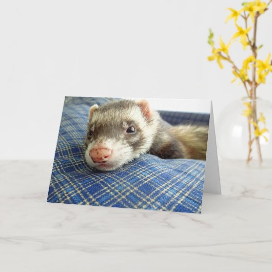 Ferret Face Verjaardag Kaart (Gele Bloem)