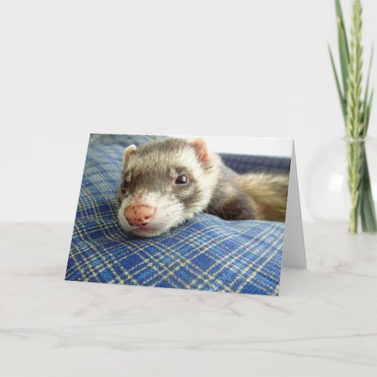 Ferret Face Verjaardag Kaart (Voorkant)