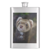 Ferret Flacon (Voorkant)
