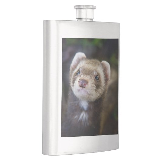 Ferret Flacon (Rechts)
