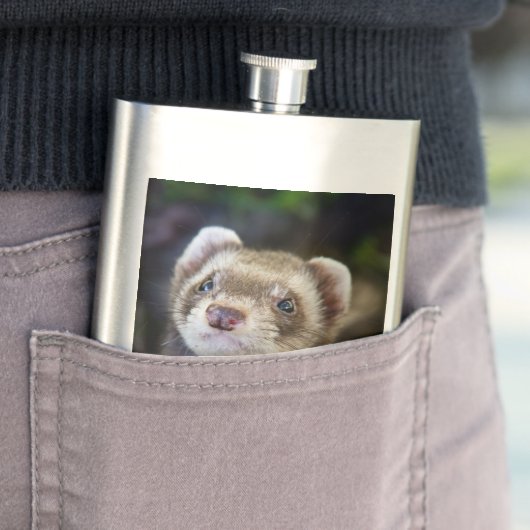 Ferret Flacon (Voorbeeld)