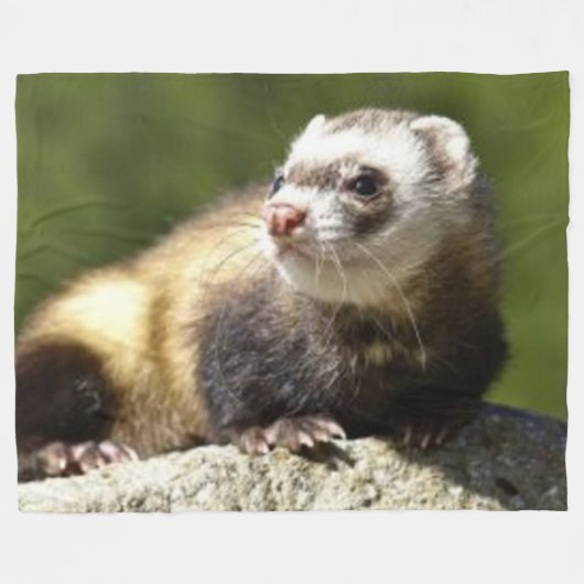 FERRET FLEECE DEKEN (Voorkant (Horizontaal))