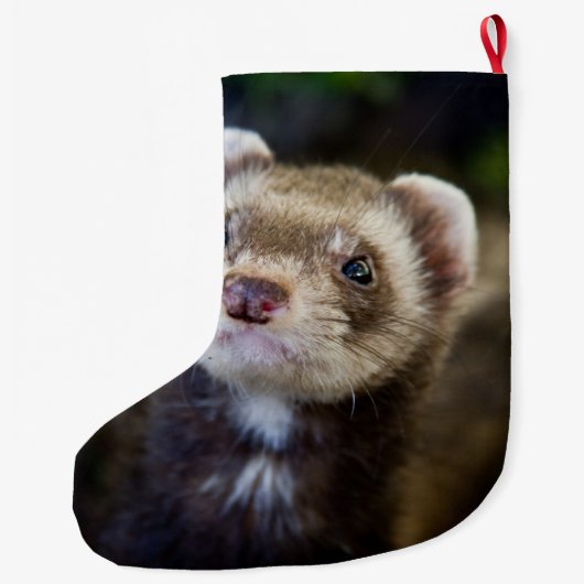 Ferret Grote Kerstsok (Achterkant)