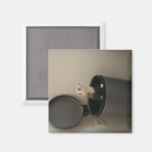 Ferret in een afvalbak magneet (Voorkant / Achterkant)