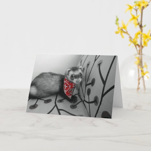 Ferret in rode Bandana Verjaardag Kaart (Gele Bloem)