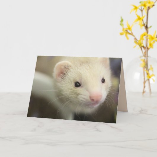 Ferret Kaart (Gele Bloem)
