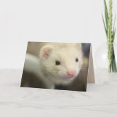 Ferret Kaart (Voorkant)