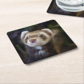 Ferret Kartonnen Onderzetters (Schuin)