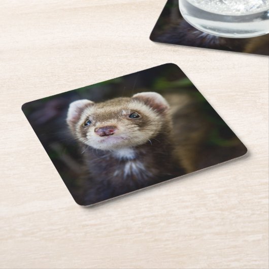 Ferret Kartonnen Onderzetters (Schuin)