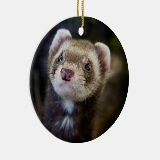Ferret Keramisch Ornament (Rechts)
