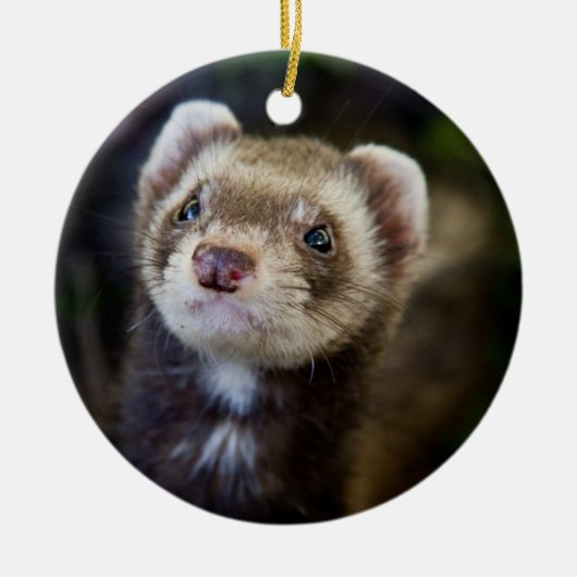 Ferret Keramisch Ornament (Voorkant)