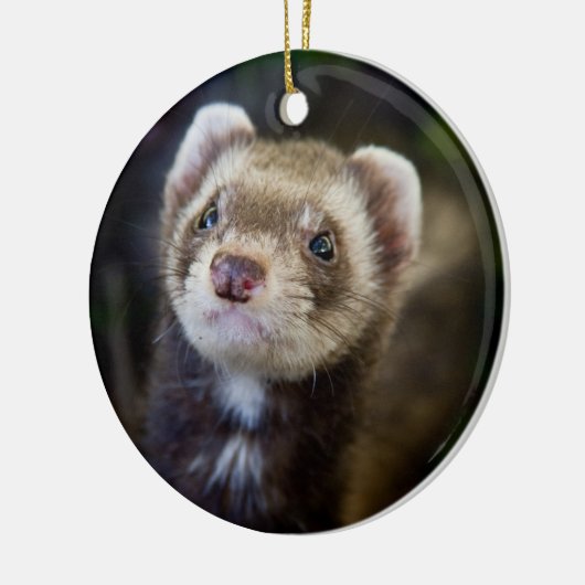 Ferret Keramisch Ornament (Links)