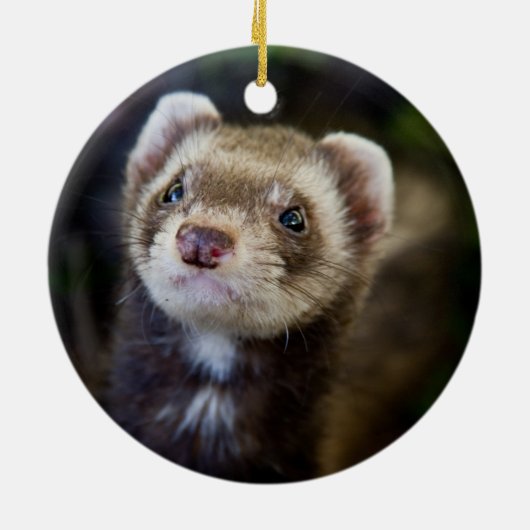Ferret Keramisch Ornament (Achterkant)