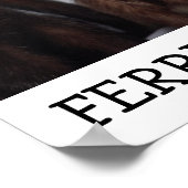 Ferret Kisses Poster (Hoek)