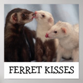 Ferret Kisses Poster (Voorkant)