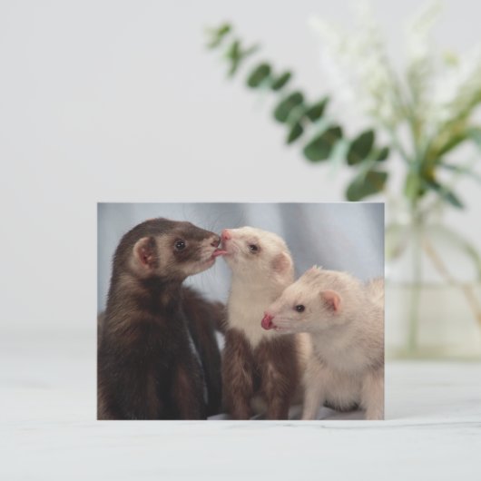 Ferret Love Briefkaart (Staand voorkant)