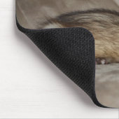 FERRET LOVER MUISMAT (Hoek)