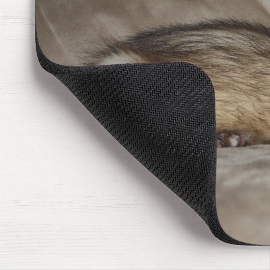 FERRET LOVER MUISMAT (Hoek)