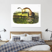 Ferret met zwarte voet, Amerikaans Polecat van Aud Canvas Afdruk (Insitu (Slaapkamer))