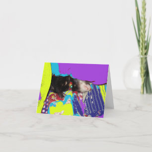 Ferret Nap Birthday Card Kaart