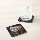 Ferret Onderzetter (Rechterzijde)