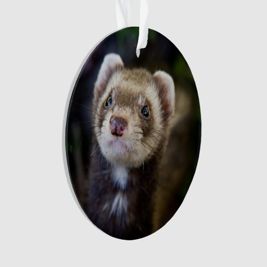 Ferret Ornament (voorkant)